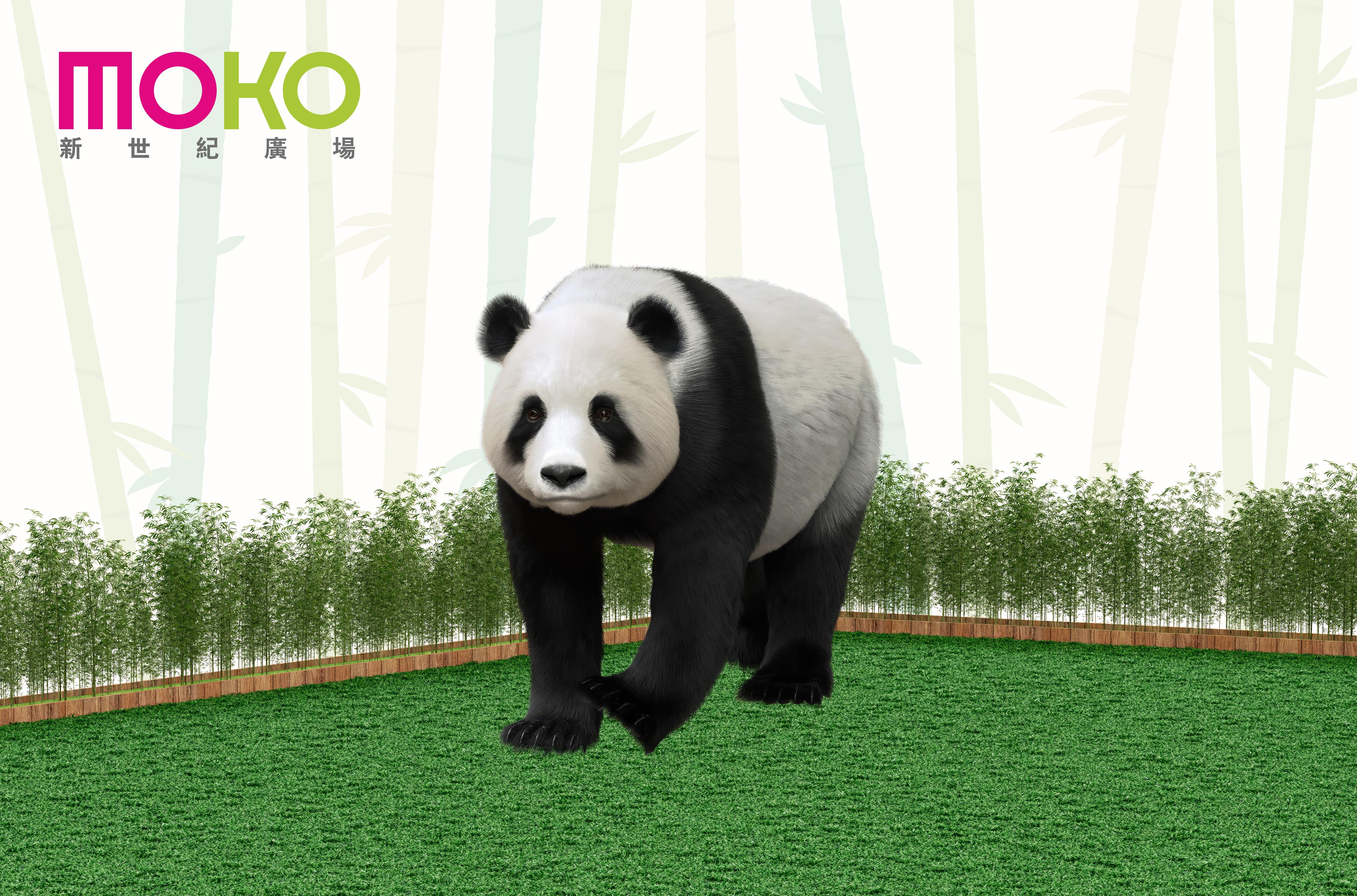 MOKO呼嚕Panda遊世界 中庭設四米長的瞓覺Mode仿真大熊貓