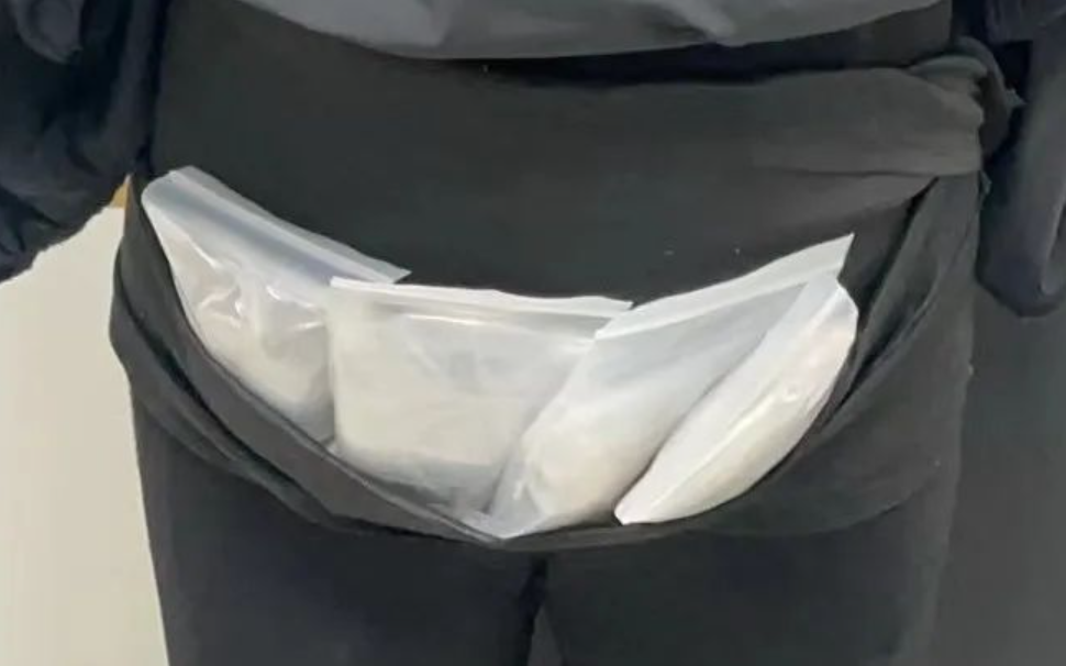 羅湖海關在旅檢入境渠道查獲女旅客綁藏的21株活體珊瑚(內地海關總署)