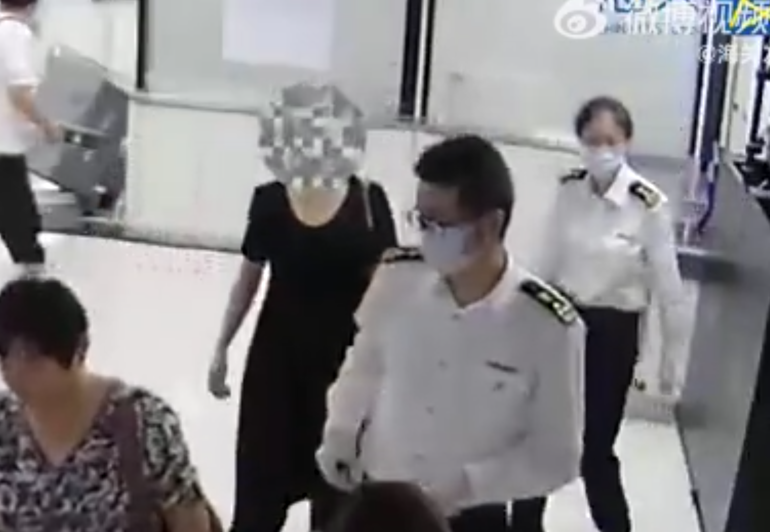 羅湖海關在旅檢入境渠道查獲女旅客綁藏的21株活體珊瑚(內地海關總署)