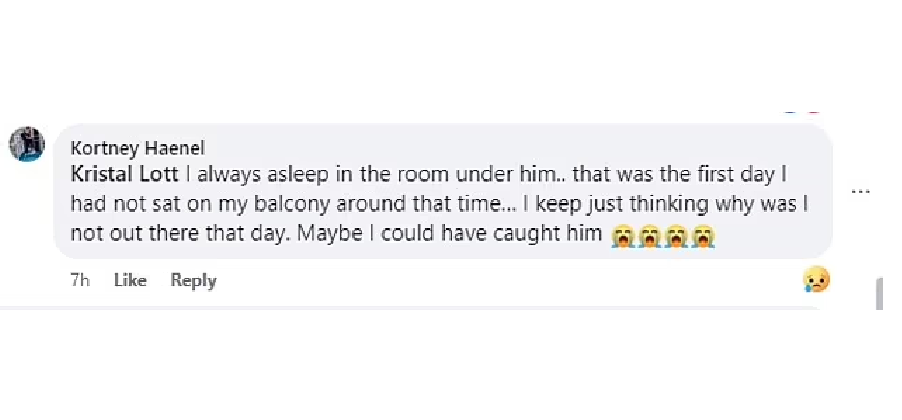 有網民自責當日沒有出露台,否則或能接住男童。(互聯網)