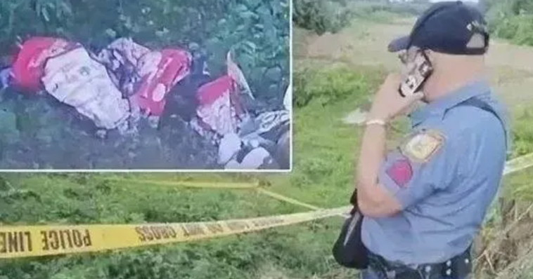 兩名內地醫療器材公司高層人員在菲律賓遭綁架撕票(網上圖片)