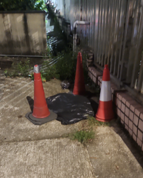 有網民發圖表示,至少一隻野豬當場死亡,被黑膠袋遮蓋(Facebook南區之友 2.0)