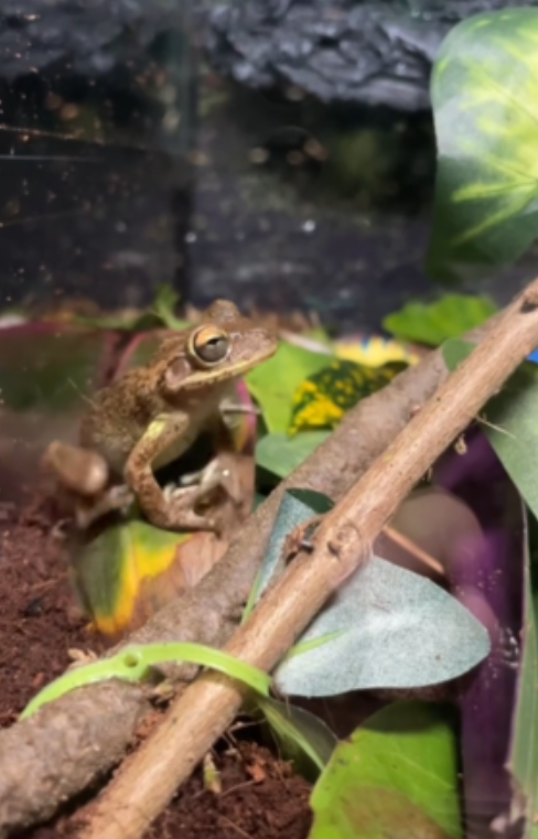 終於獲得一個安樂窩。(互聯網)