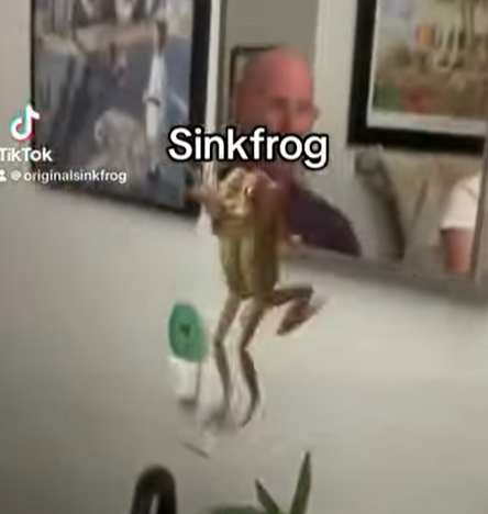 爬上鏡子。(互聯網)