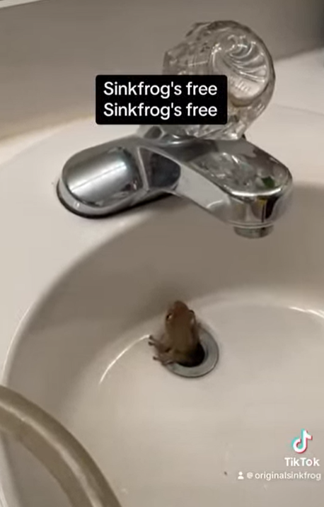 終肯自己爬出!(互聯網)