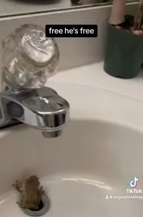 終肯自己爬出!(互聯網)