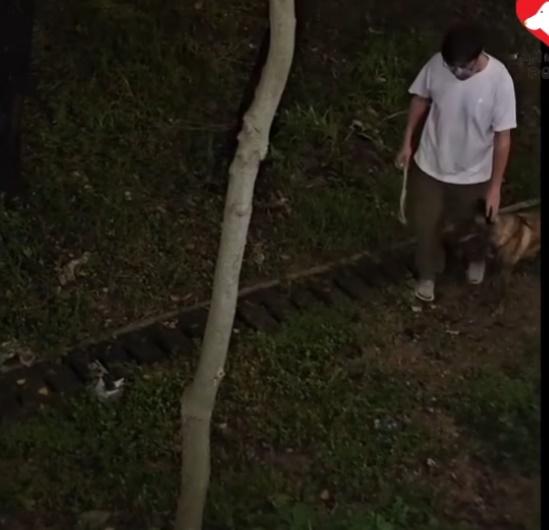 男子解開繩再按狗狗頭部作指示。(香港動物報@FB)