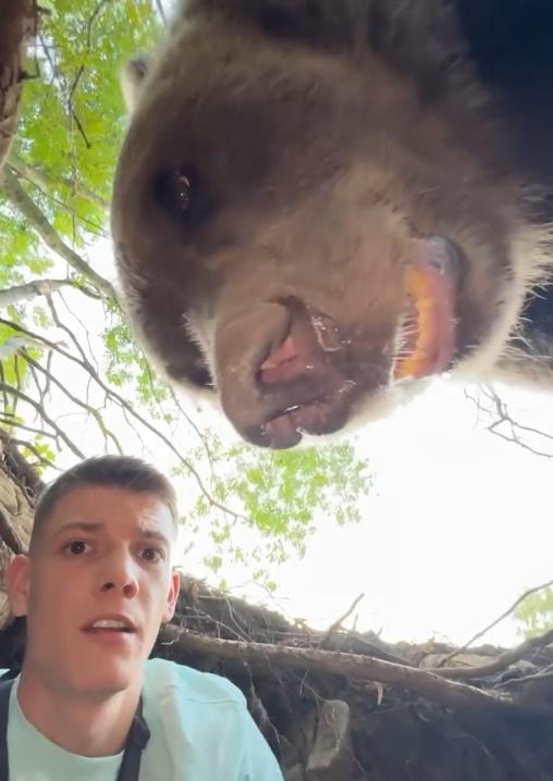 棕熊觀察了一會稍為退後,Stefan才能慢慢離開洞穴。(IG)