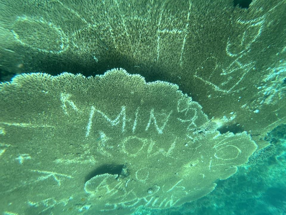 上面還刻有「MOJAK」、「MIN」等疑似韓文名稱的羅馬拼音。(X)