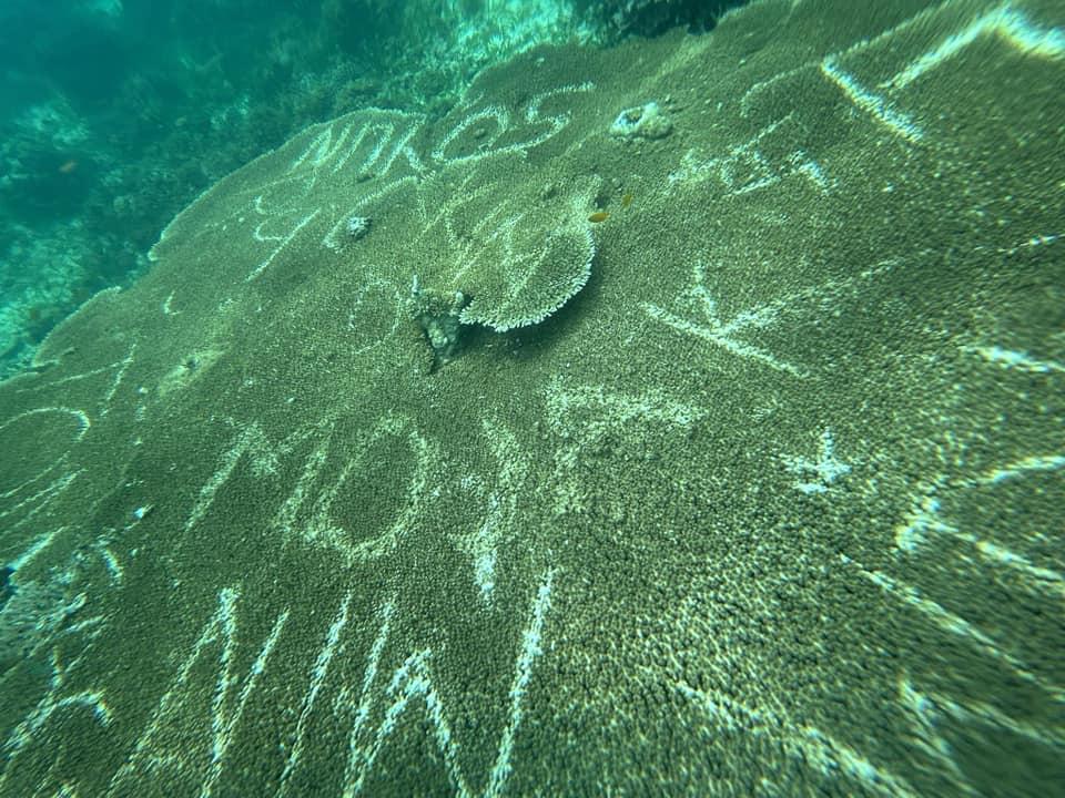 上面還刻有「MOJAK」、「MIN」等疑似韓文名稱的羅馬拼音。(X)