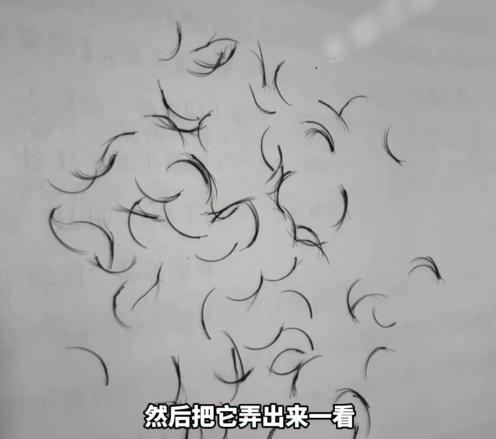 仔細一數有竟然多達74條。(微博)