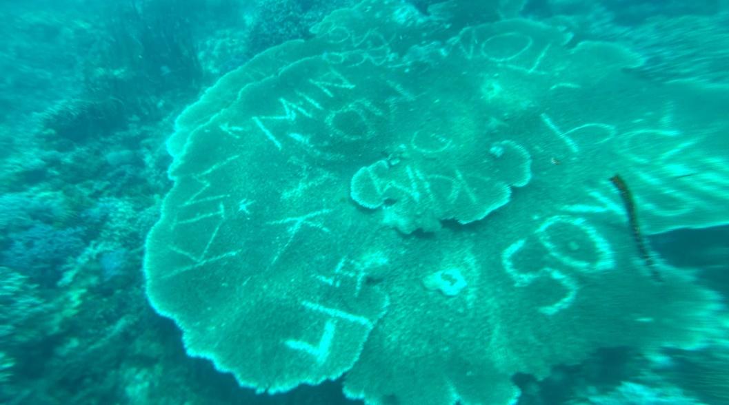 菲律賓潛水教練Danilo Menorias發現水中的珊瑚礁遭到人為惡意破壞。(FB)