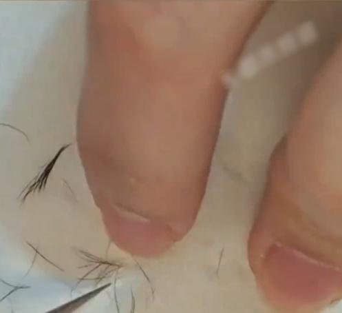 仔細一數有竟然多達74條。(微博)