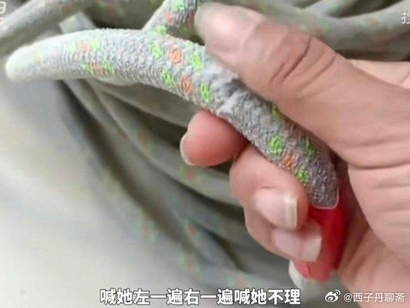 陶女士展示被割的安全繩,顯示上面被割出一道近半厘米深的割痕。(微博)