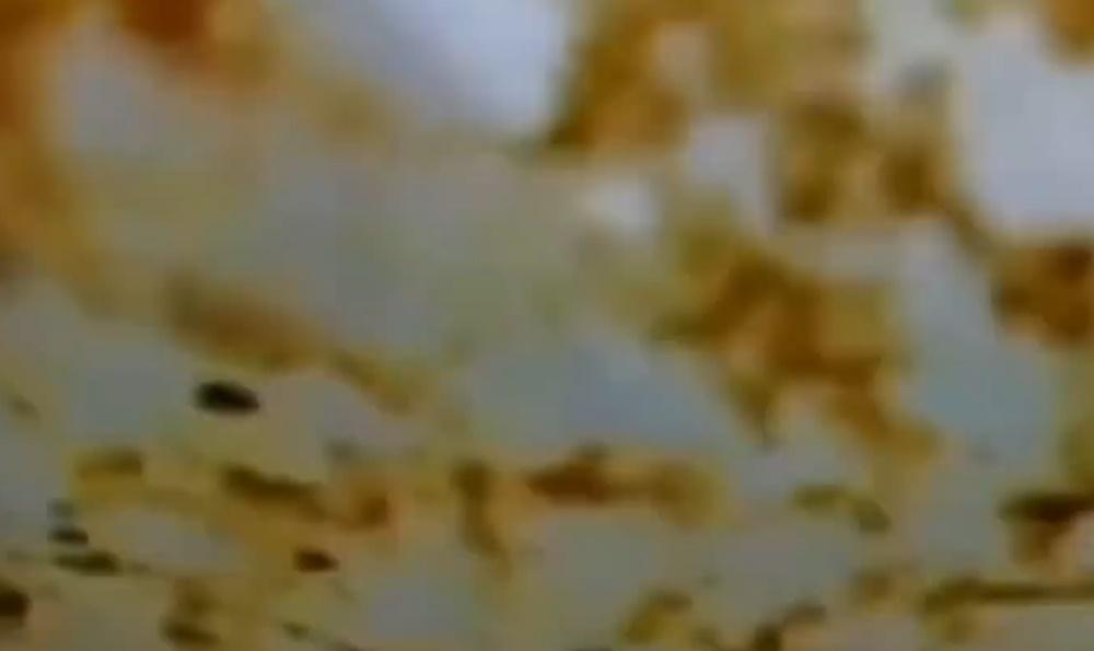 有汽車行車攝錄機拍攝到駛經期間,大量黃色物體灑落,覆蓋整幅擋風玻璃。(微博)