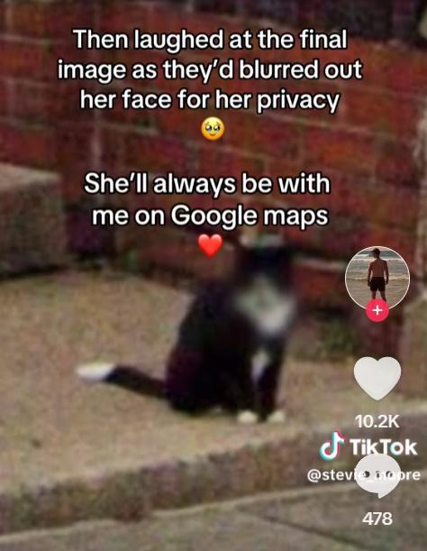 男子不禁笑說「Google為了保護Sammy的隱私而模糊化,牠將永遠在Google地圖上和我待在一起」。(TikTok)