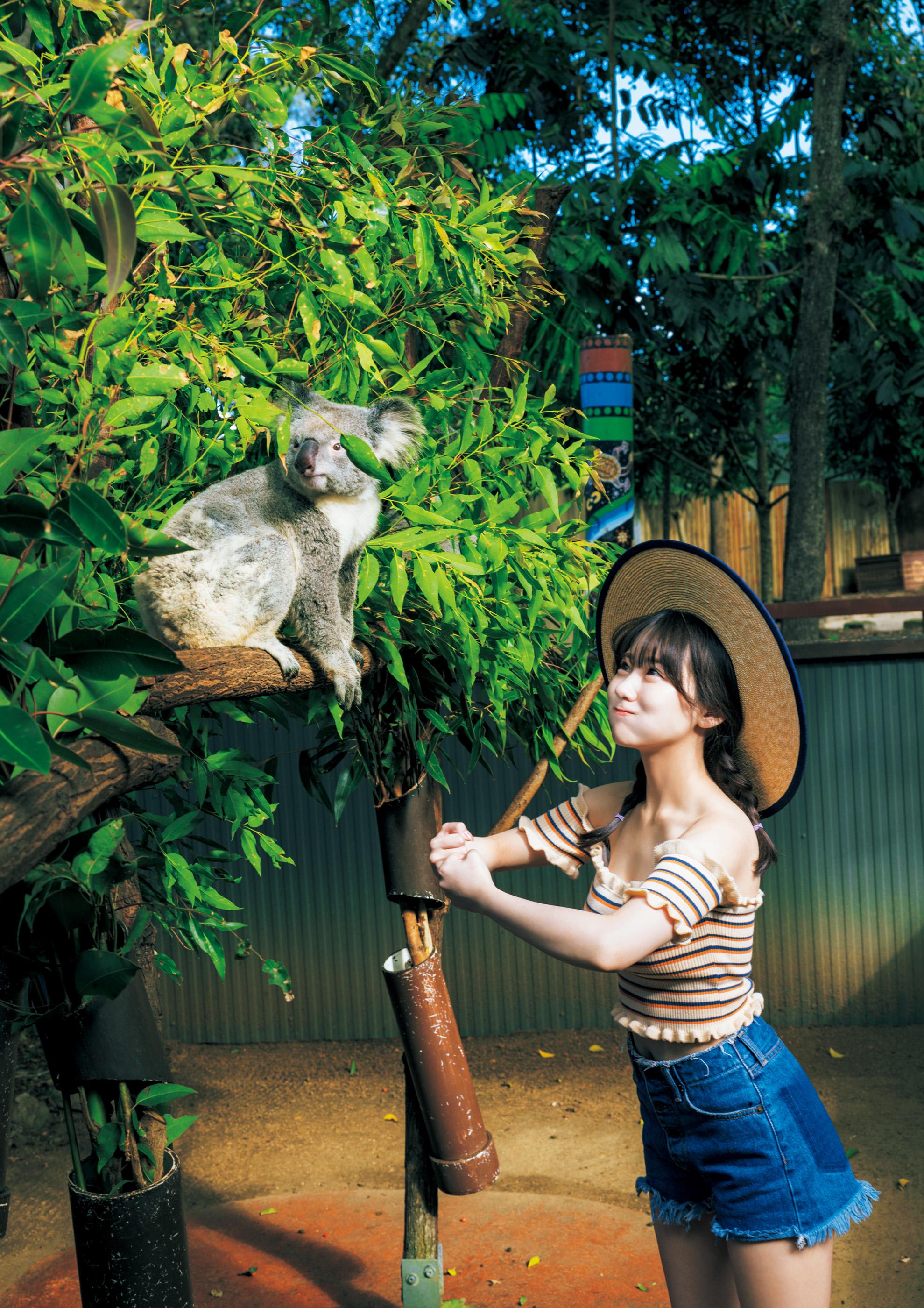 田中美久退團後活躍公仔箱,人氣不減反升。