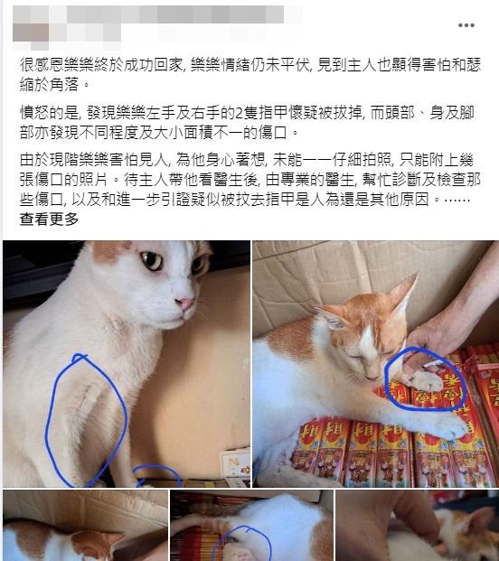 有網民在社交平台發帖,指「樂樂」身上有大小不一的傷口。(網上圖片)