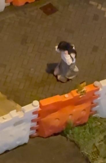 年輕情侶街頭吵架 港女跪地扭耳求饒。(網片截圖)