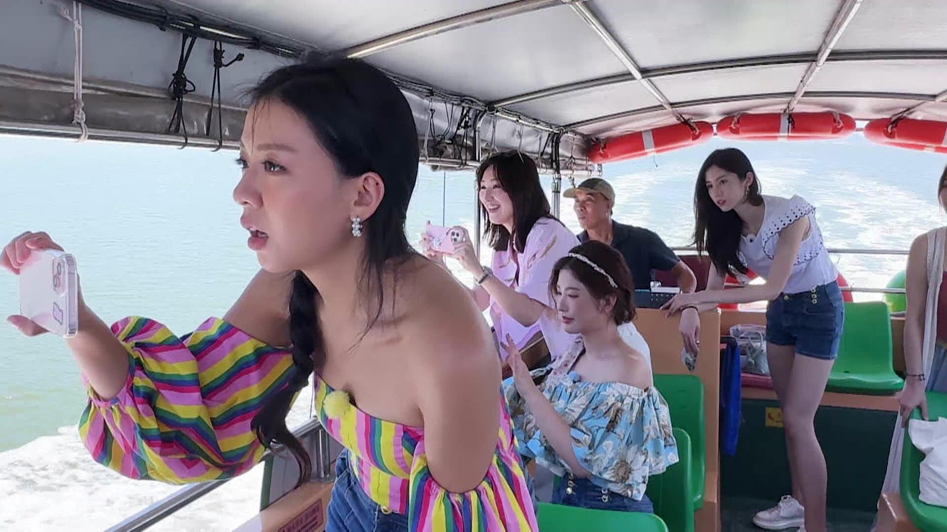 眾人出海睇海豚。