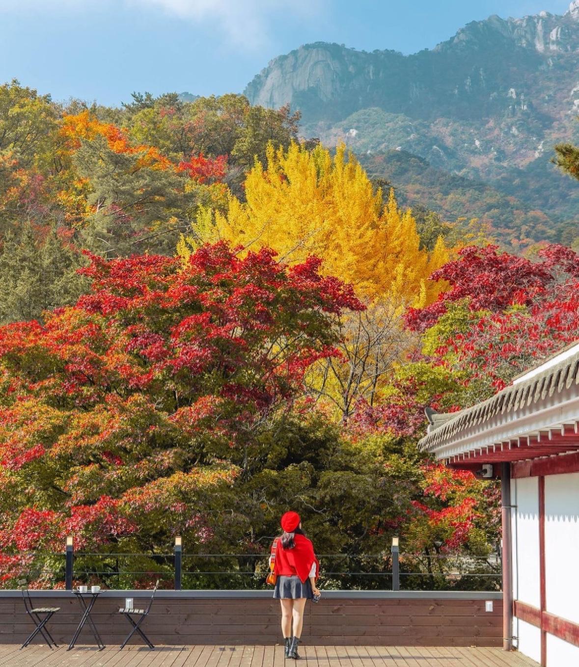 首爾市內賞楓|仙雲閣