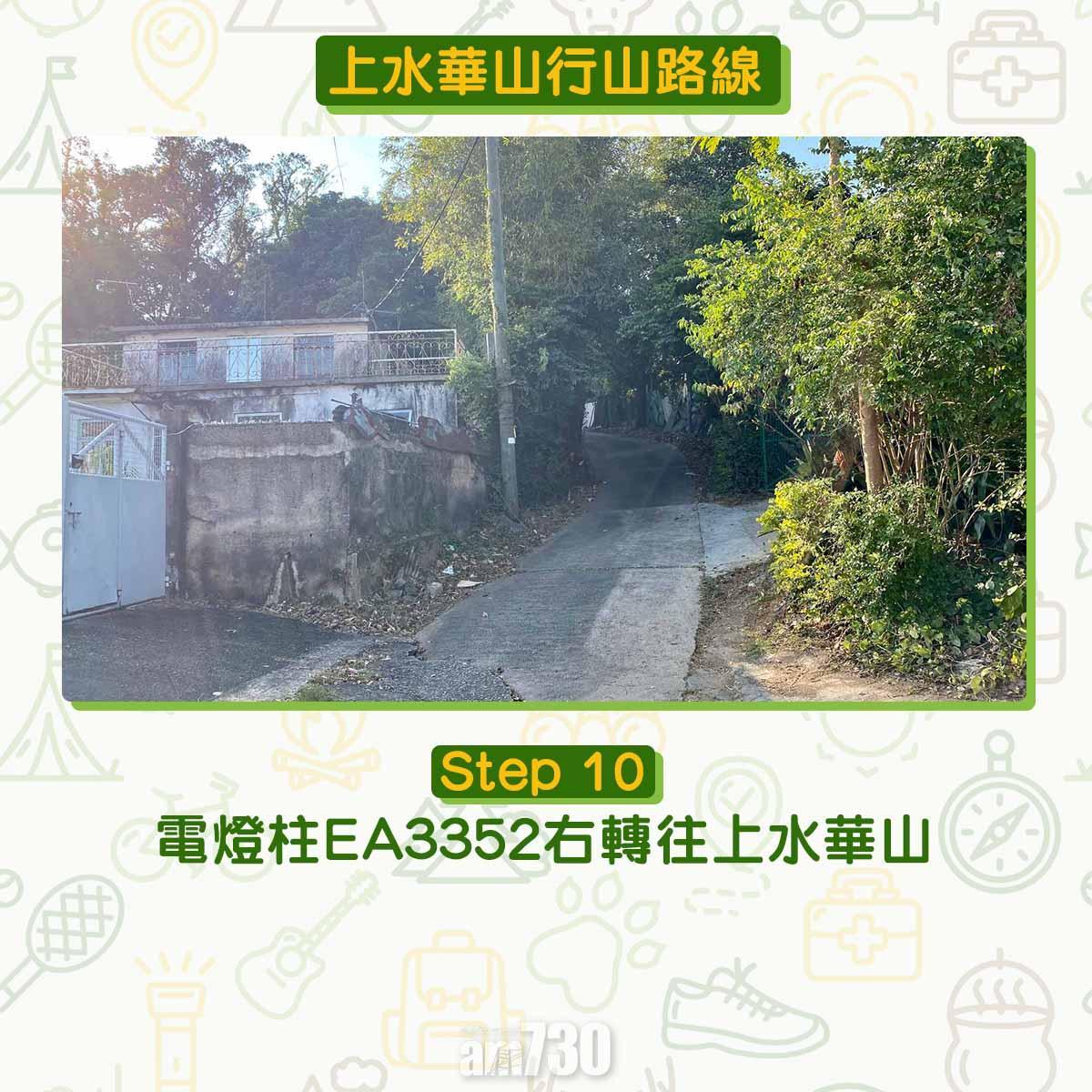 上水行山路線|華山賞芒草海看日落 香港萬里長城