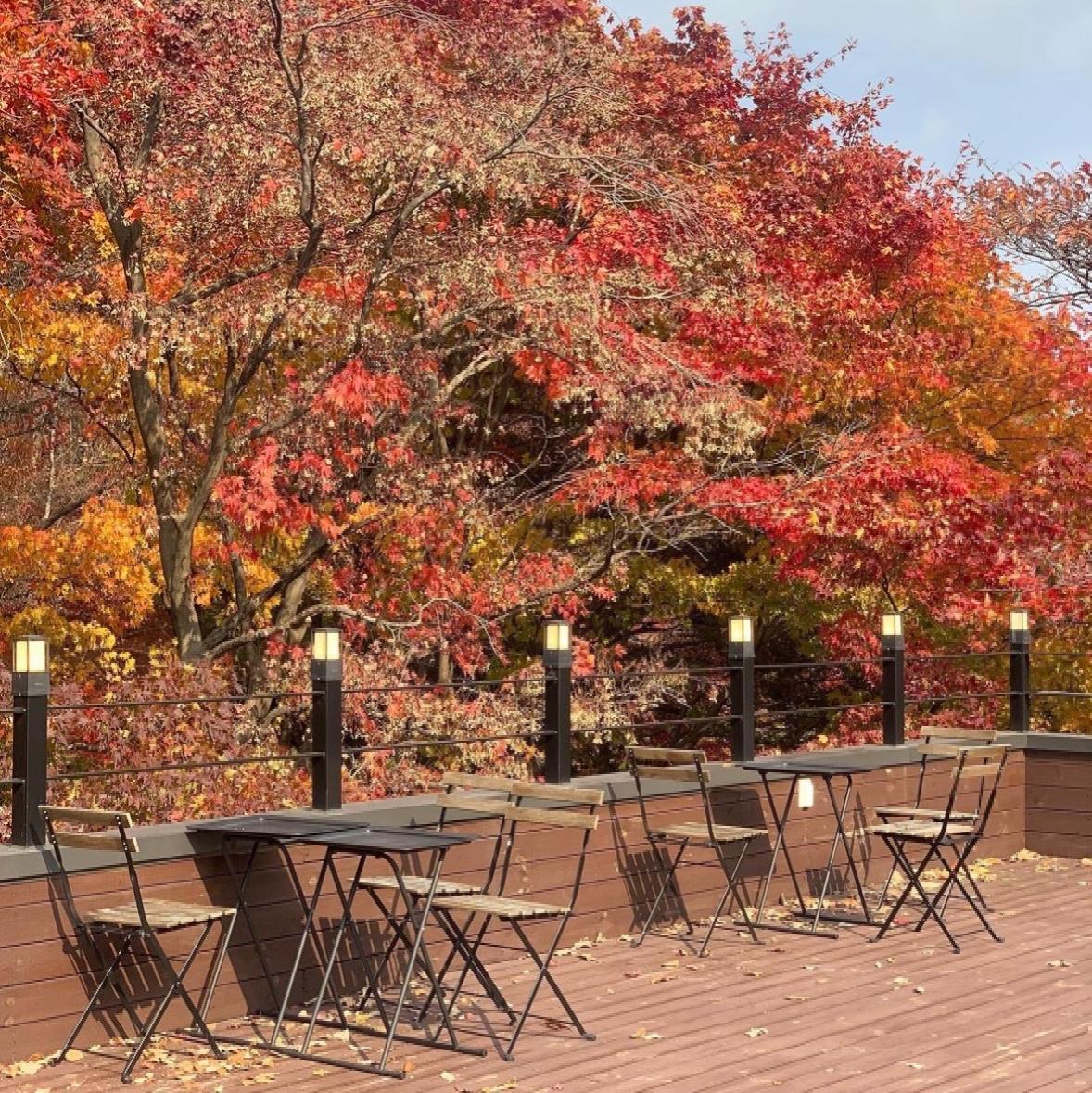 首爾市內賞楓|仙雲閣