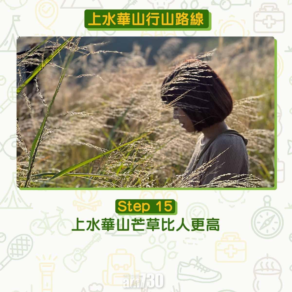 上水行山路線|華山賞芒草海看日落 香港萬里長城