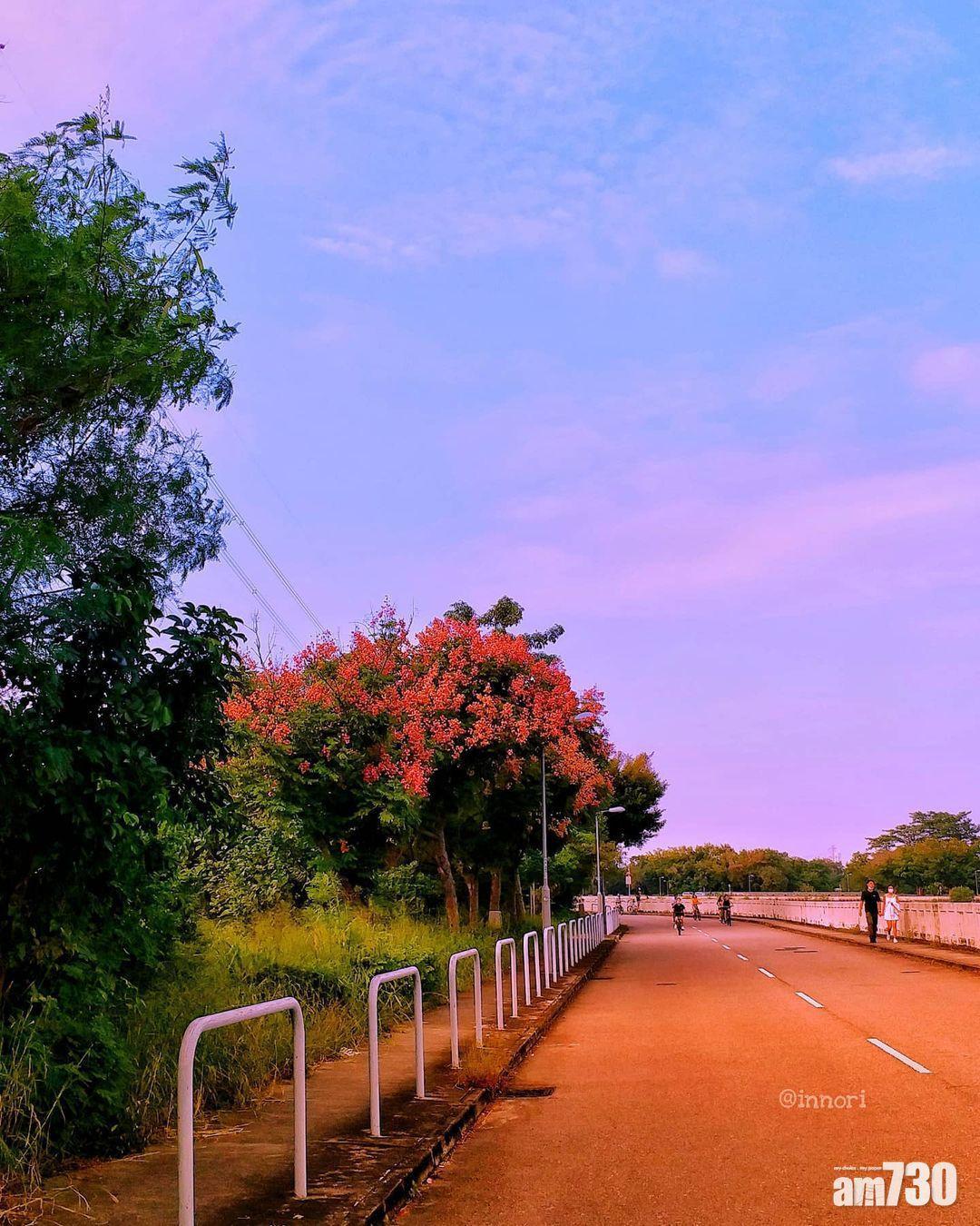 到南生圍野餐之餘,更可以去打卡拍照!(instagram:art.ndes)