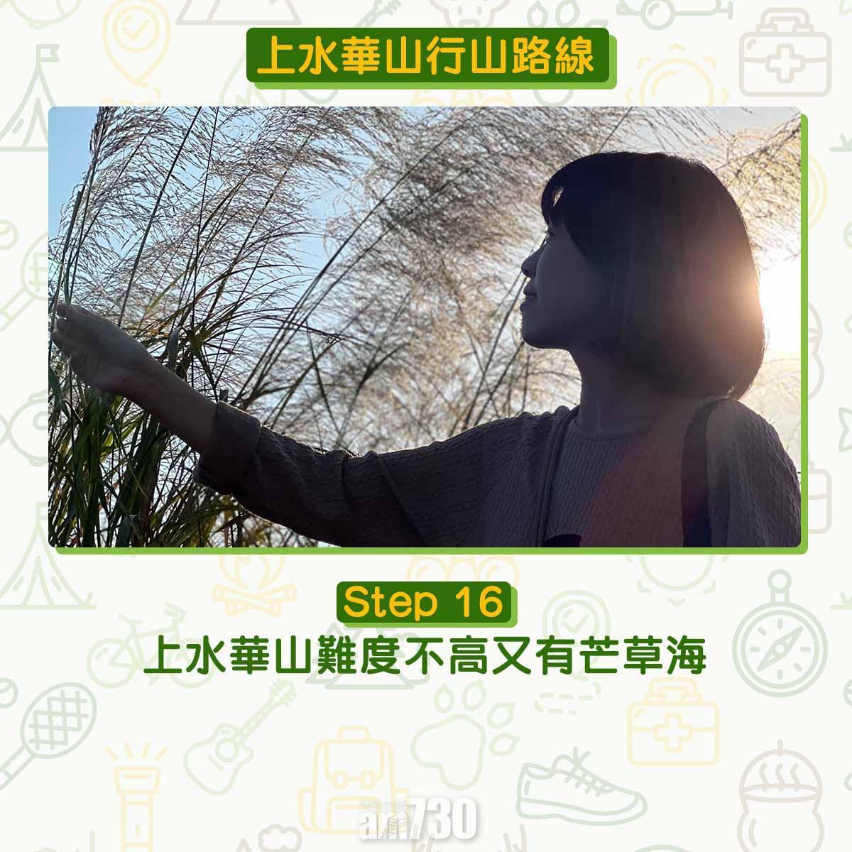 上水行山路線|華山賞芒草海看日落 香港萬里長城
