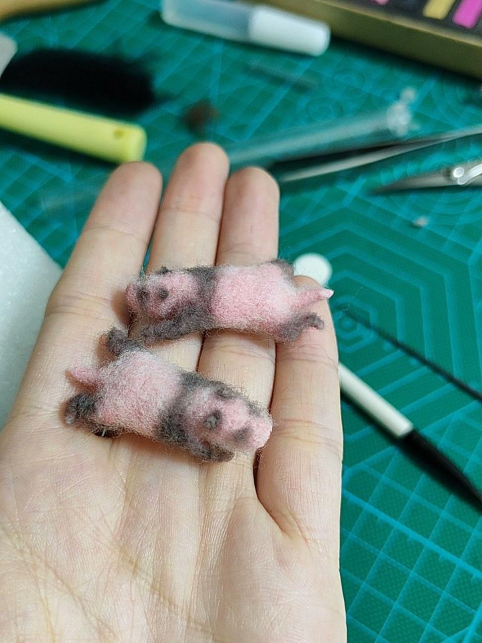 微型熊貓(作者提供)