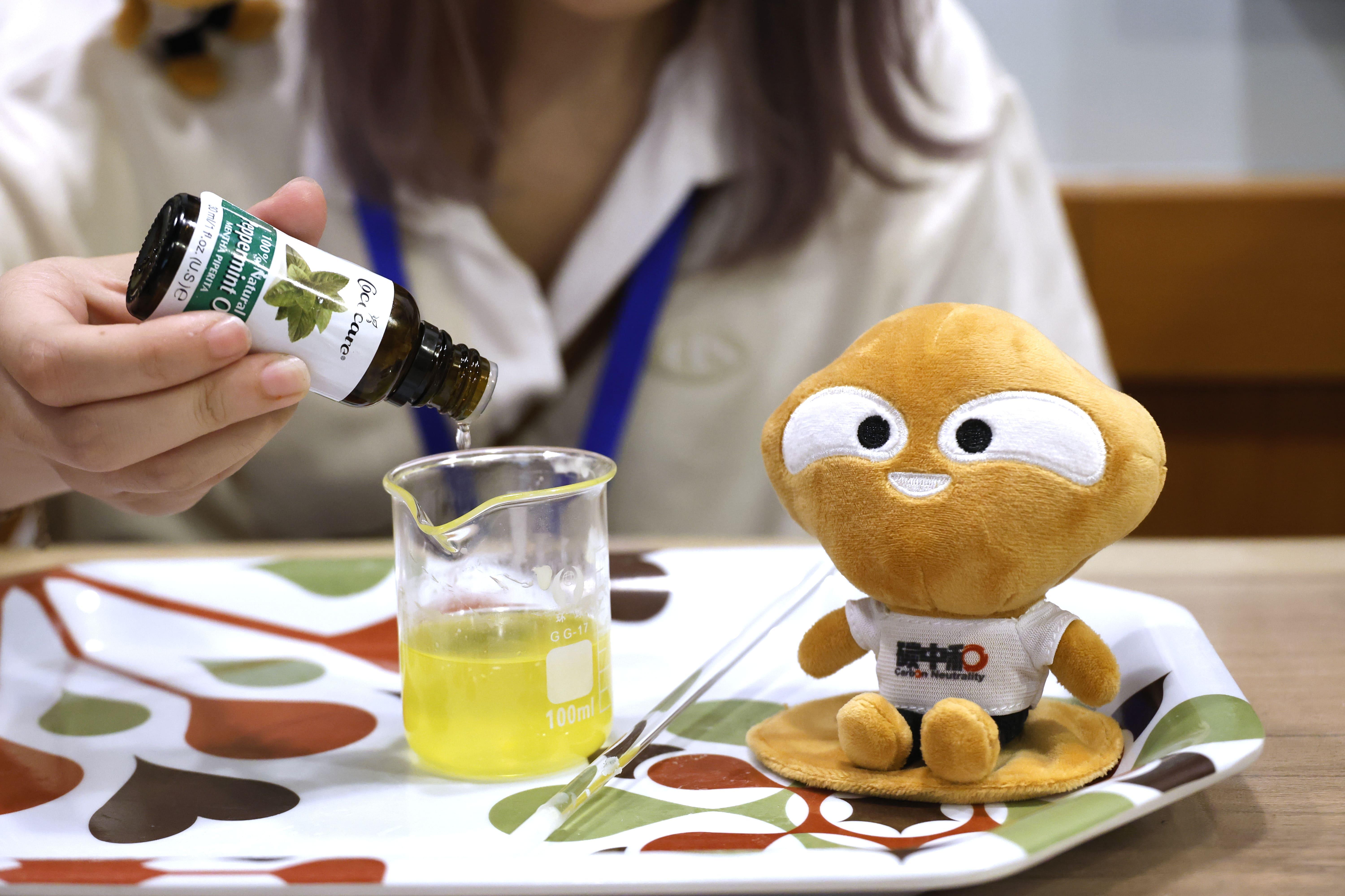 參觀者可於大嘥鬼辦公室內,參與各種有趣的主題活動及工作坊等。透過親手製作 環保小物品,加深參加者對回收重用和升級再造的認識、培養環保意識。