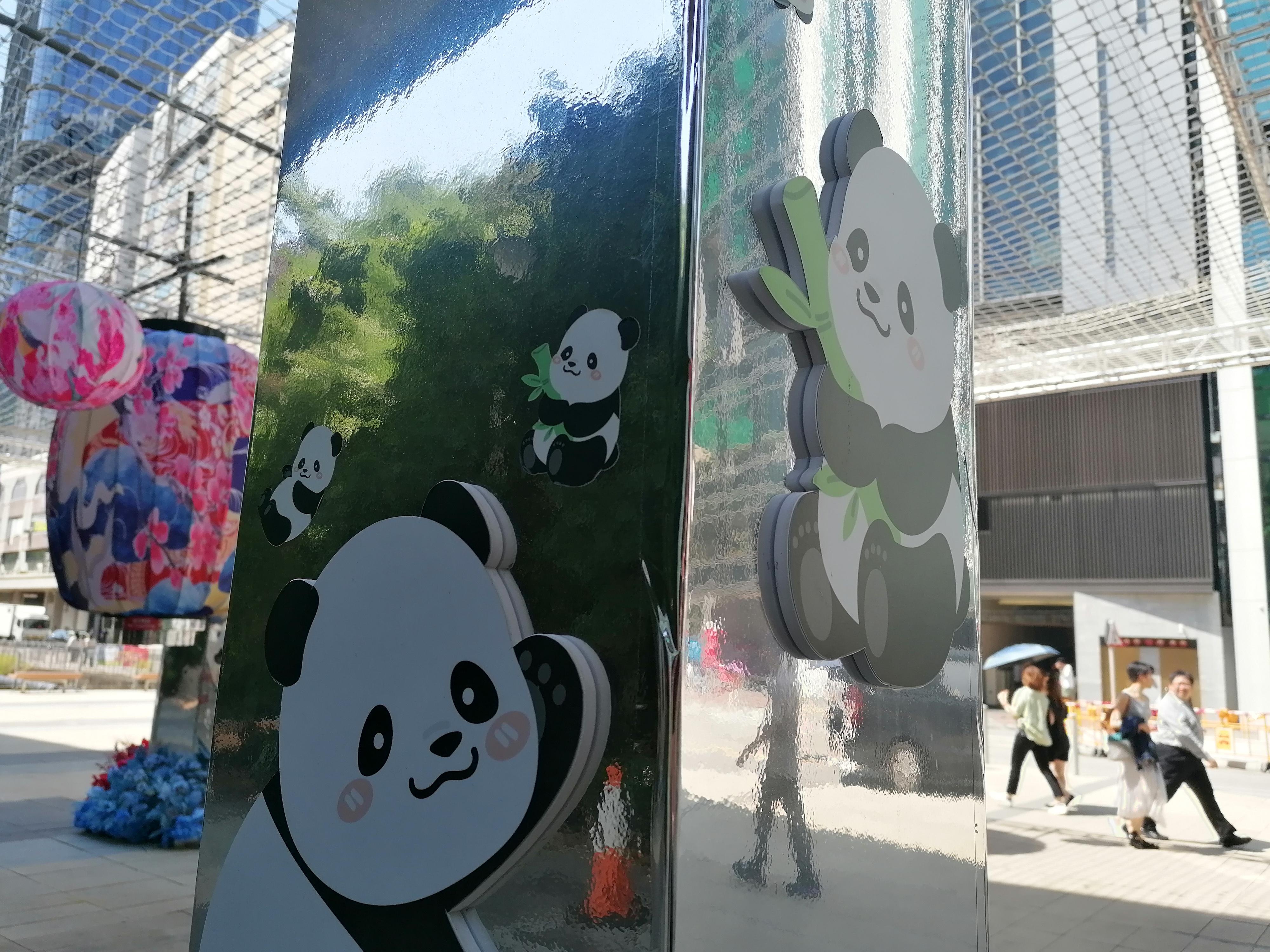 黃竹坑大王爺廟前空地有活潑熊貓布置。(中通社)