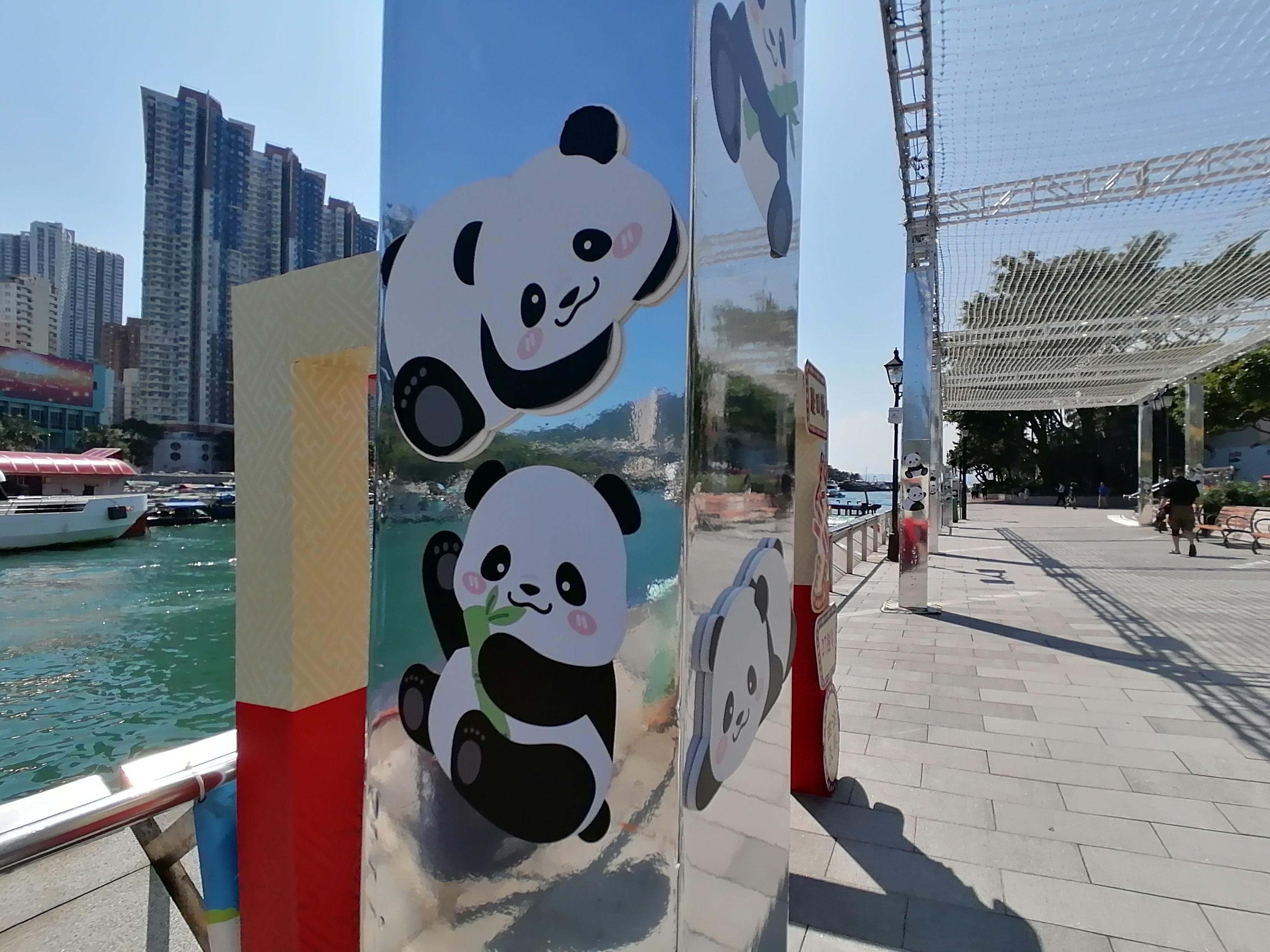 香港仔海濱長廊將設打卡燈飾、大型LED熊貓天幕等活潑熊貓布置。(中通社)