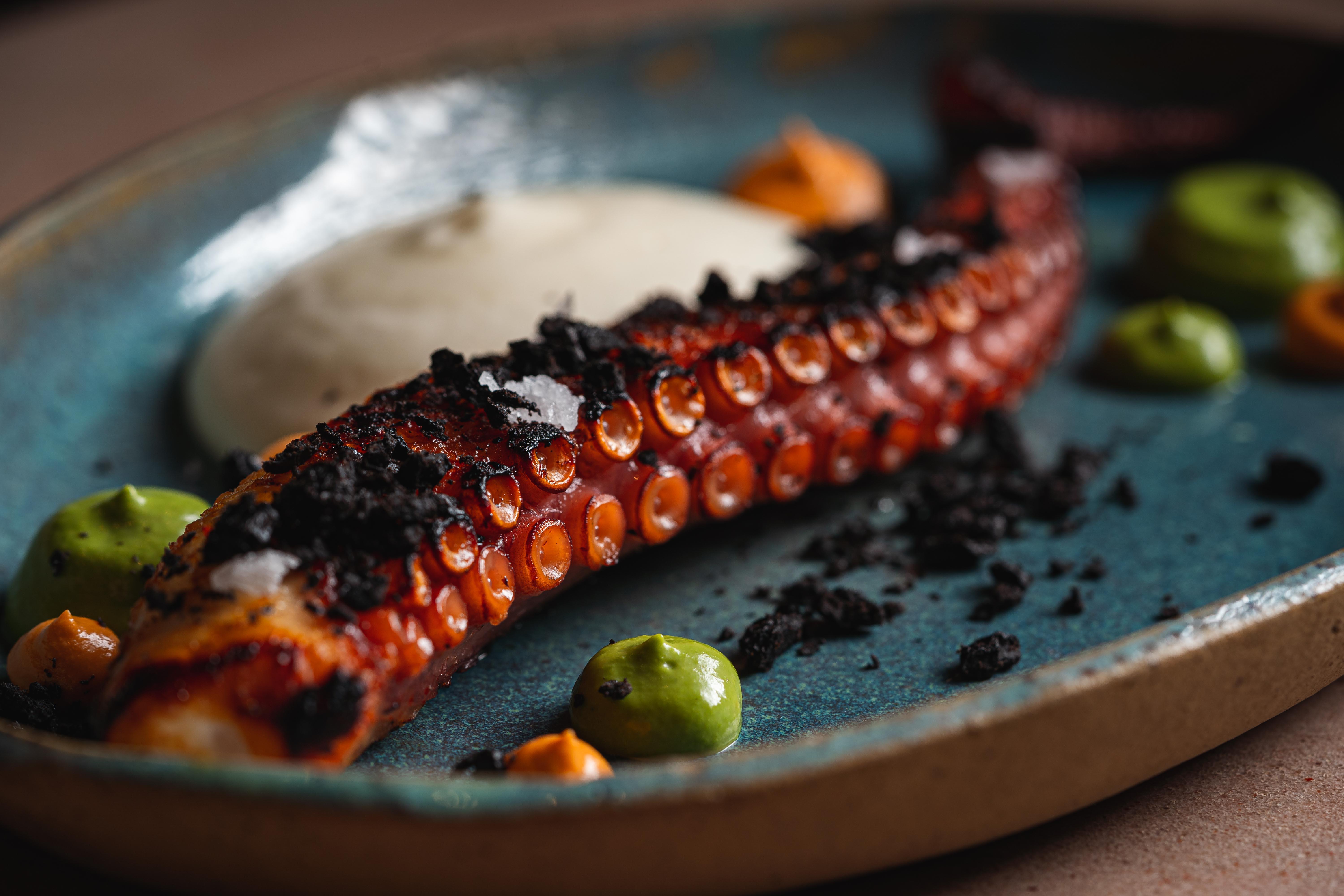 新菜式PULPO CANARIO烤西班牙八爪魚配mojo醬$208