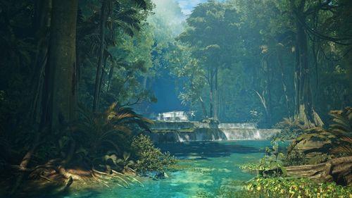 而雨停後,陽光穿透茂密的森林,植物和生物也隨之變化