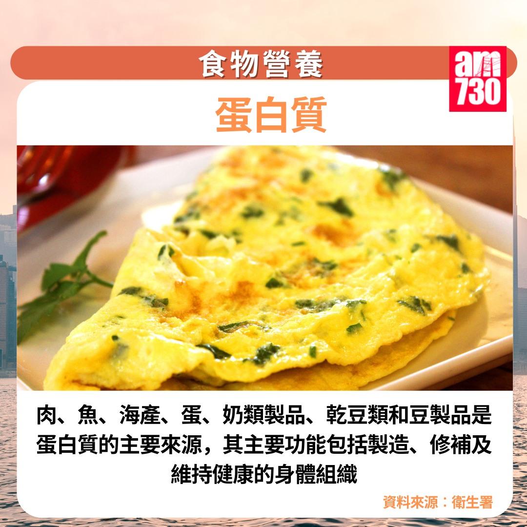 食物營養7大類|蛋白質(am730製圖)