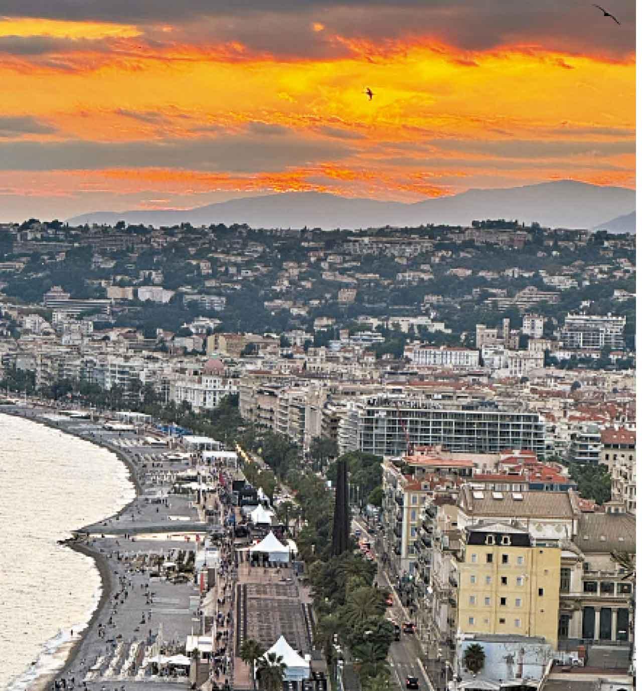 環法單車賽體驗之旅