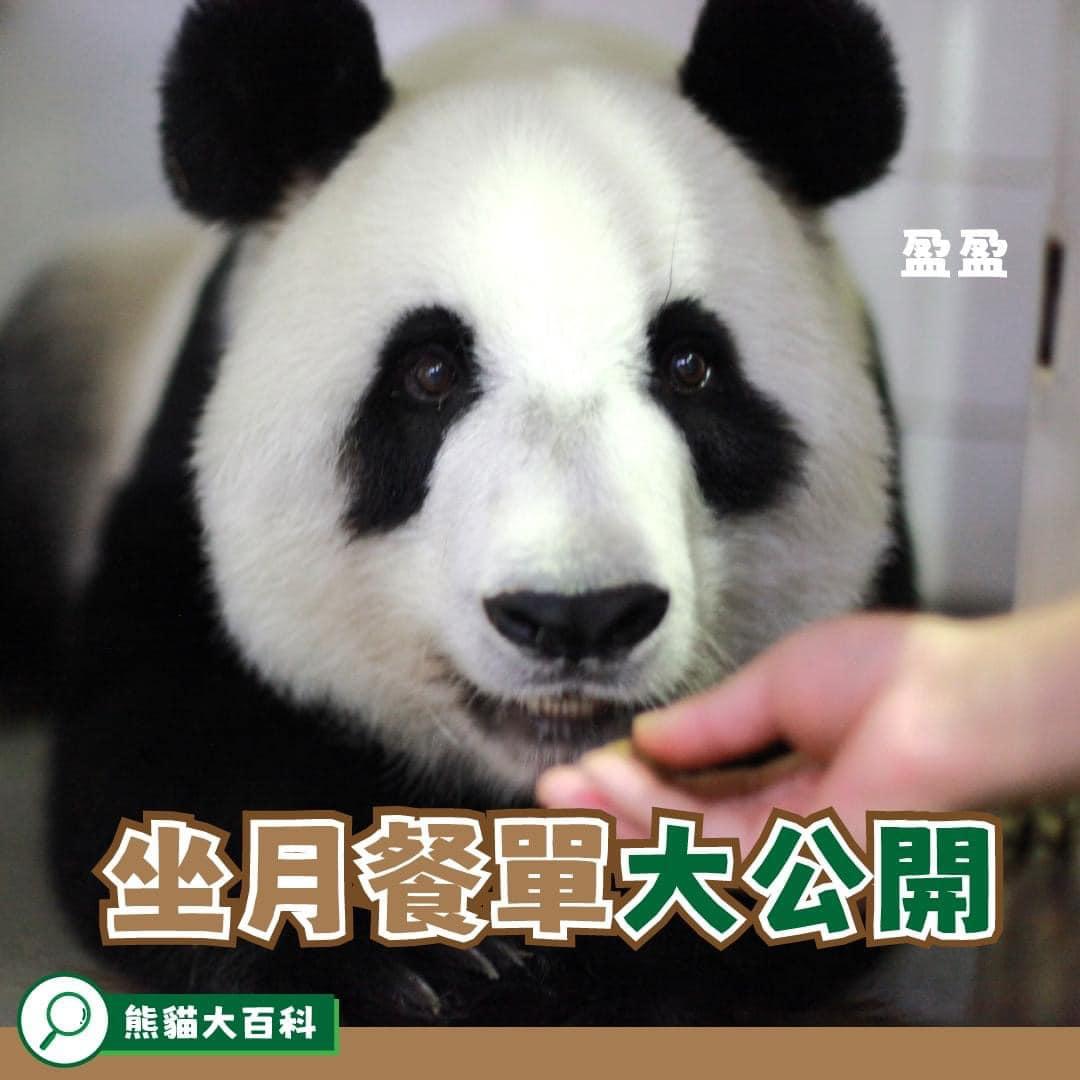 @FB香港海洋公園 Ocean Park Hong Kong圖片