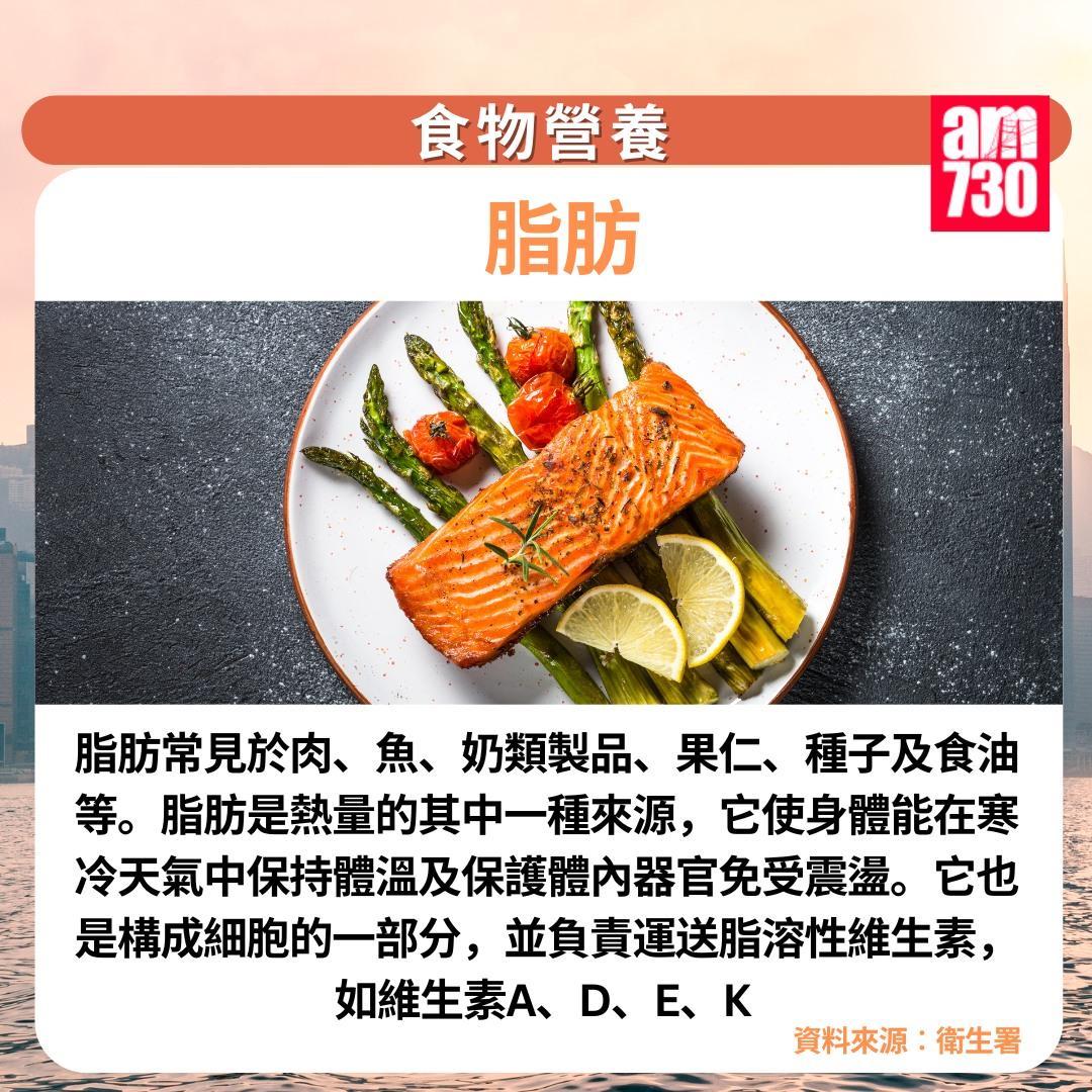 食物營養7大類|脂肪(am730製圖)