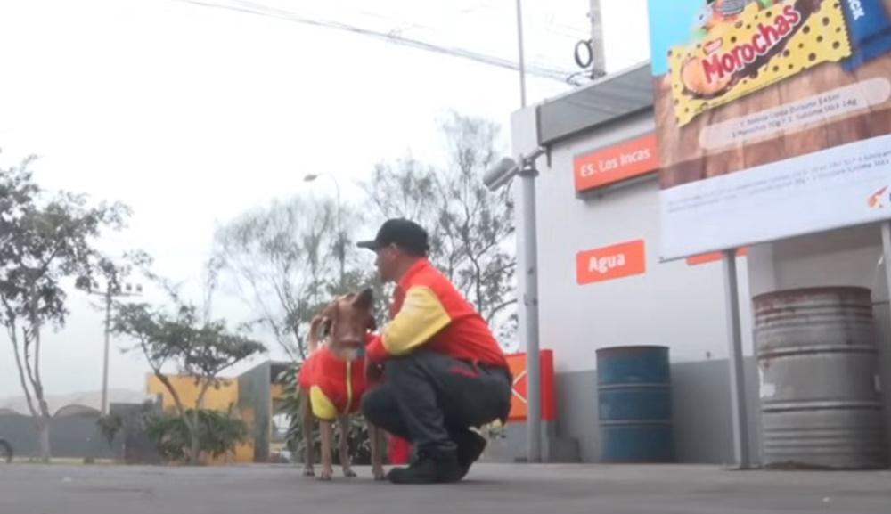 職員說,Gringo在關鍵時刻,不僅保護了職員,也改變自己的命運。(X)