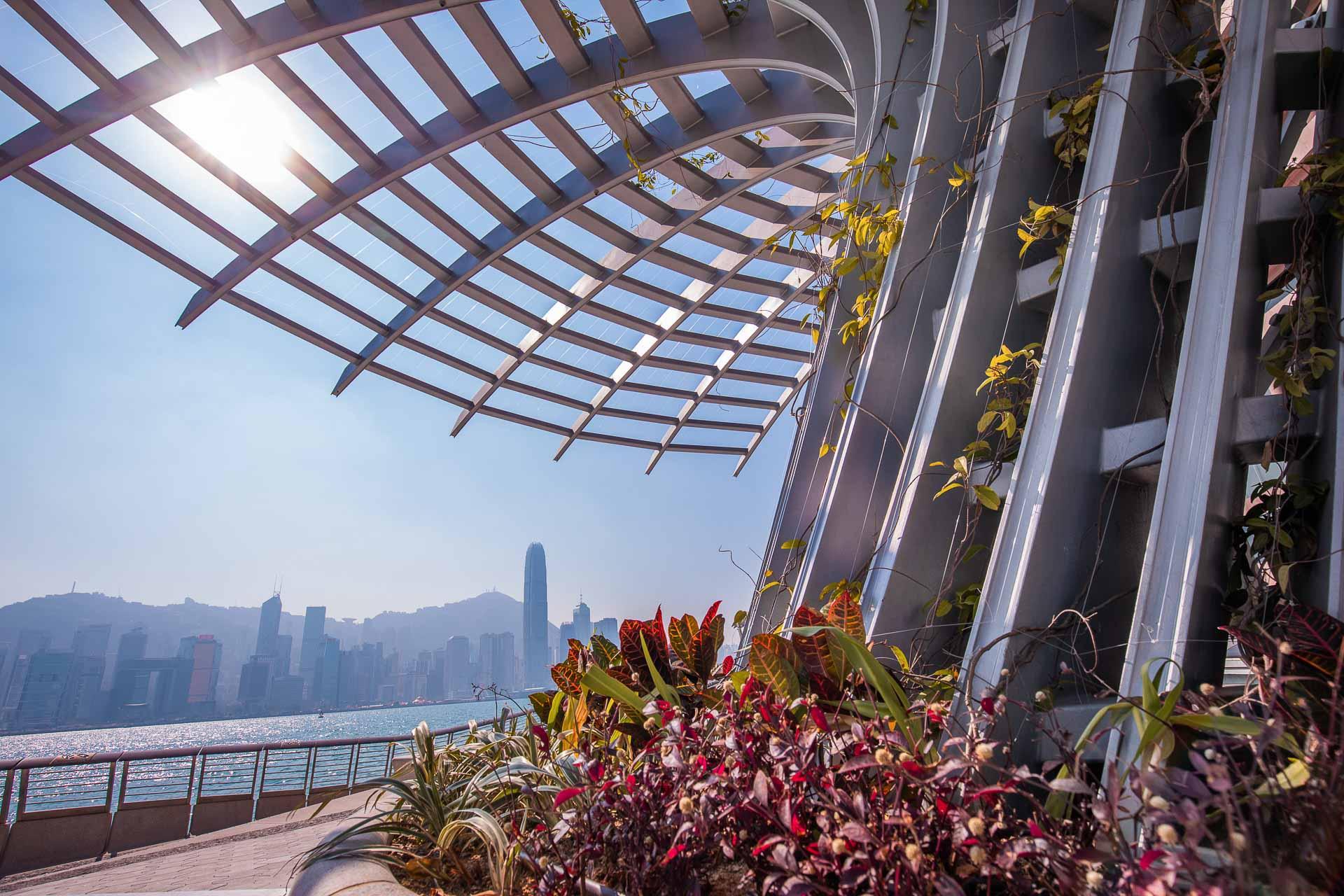 星光大道和梳士巴利花園附近將增設新餐飲和零售銷售亭(星光大道網站圖片)