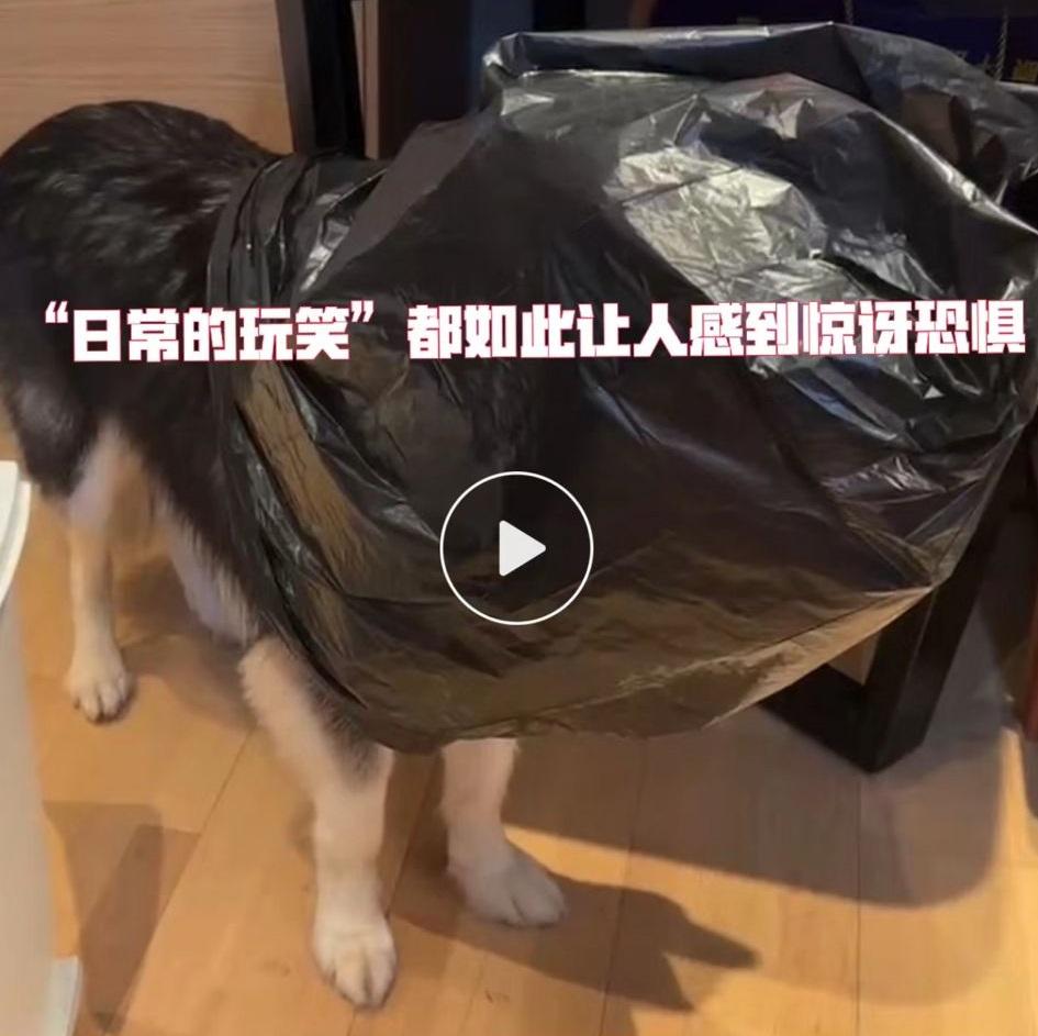 網傳「胖虎」被膠袋笠頭暴打時的影片。(小紅書圖片)