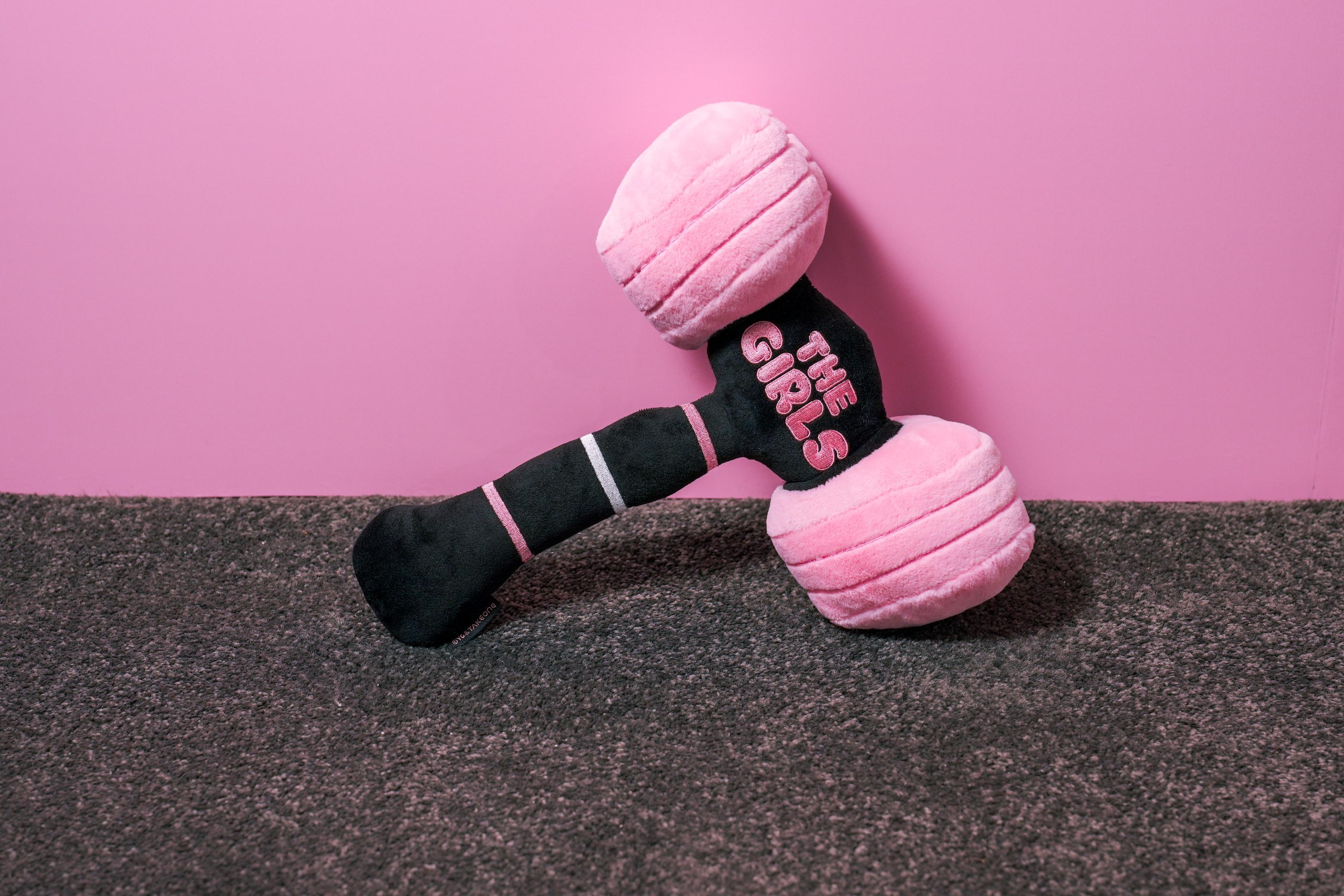 全球首賣! THE GIRLS粉錘抱枕