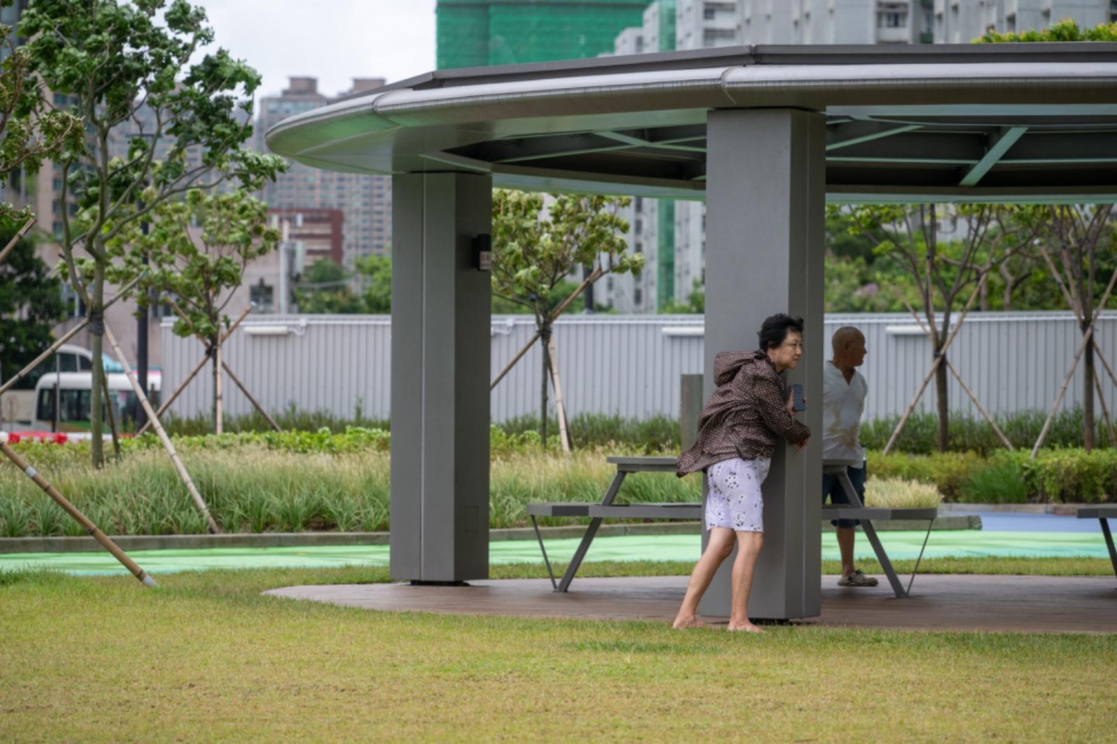 摩羯|有市民在公園冒風前行。(陳奕釗攝)