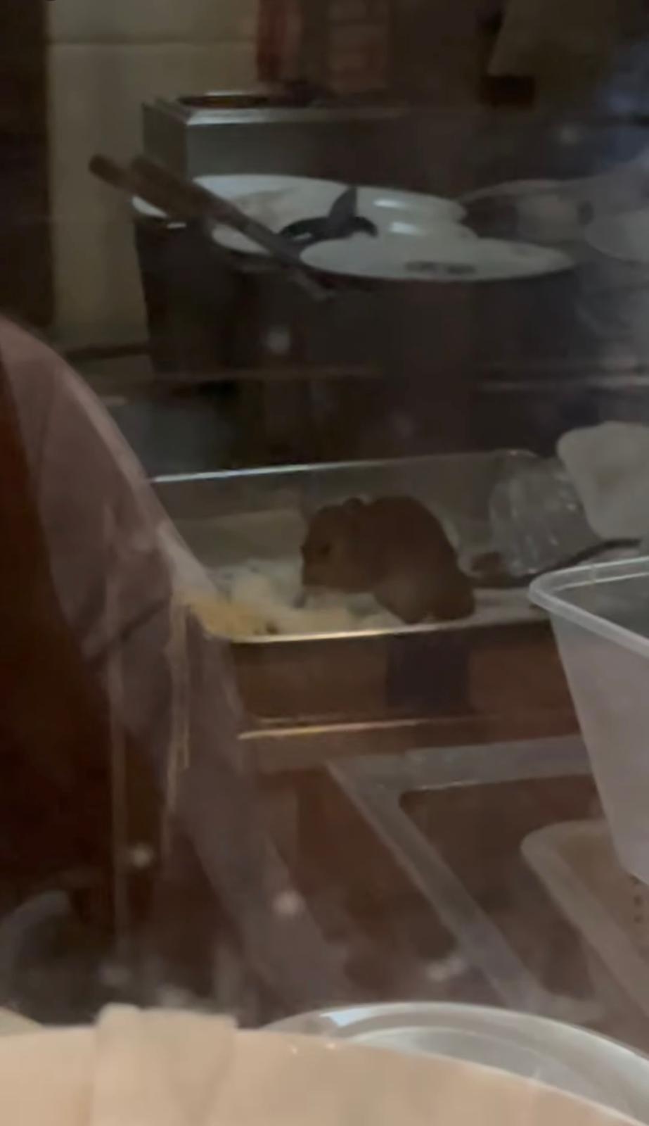 圖片來源:Threads