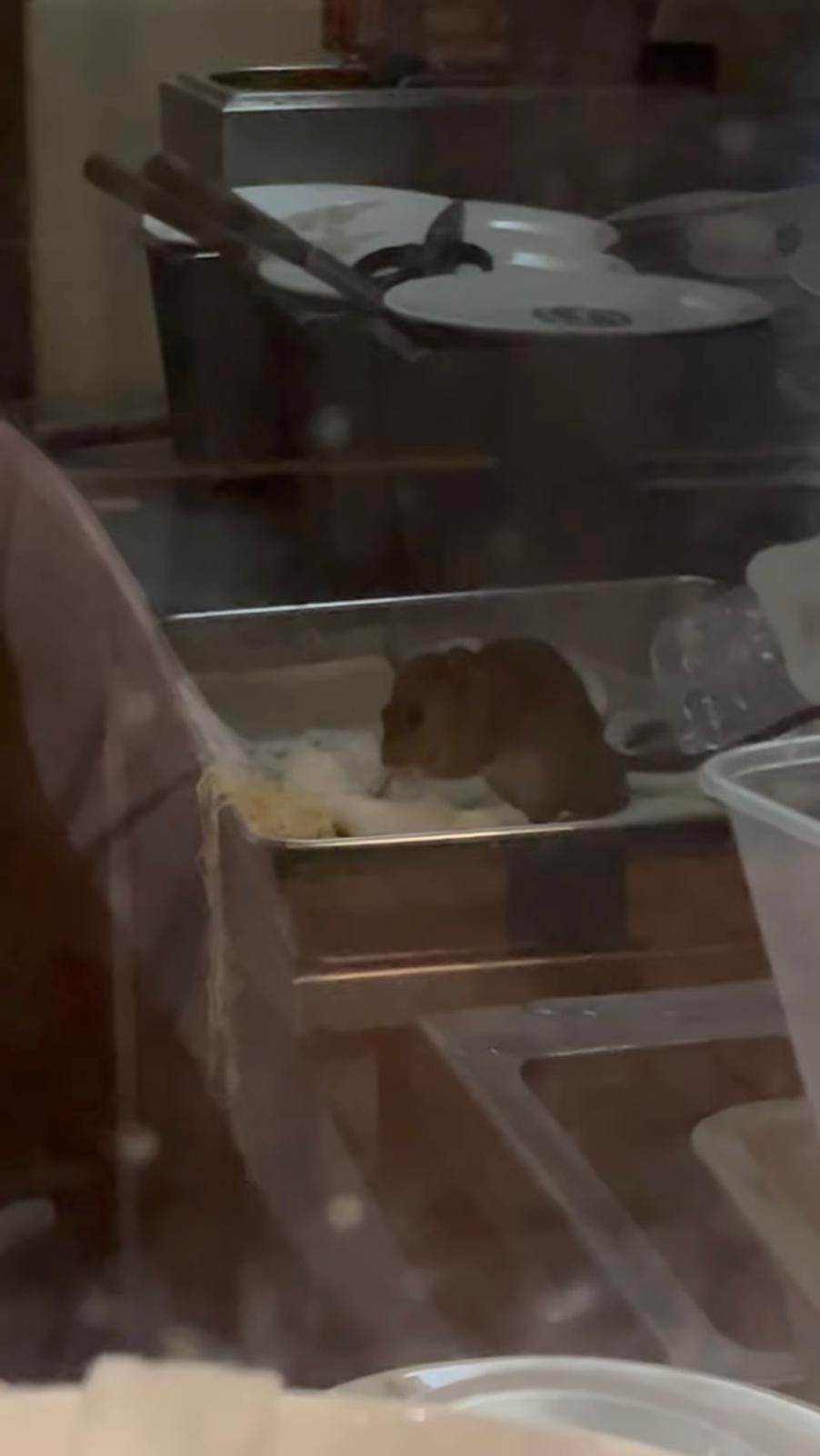 圖片來源:Threads