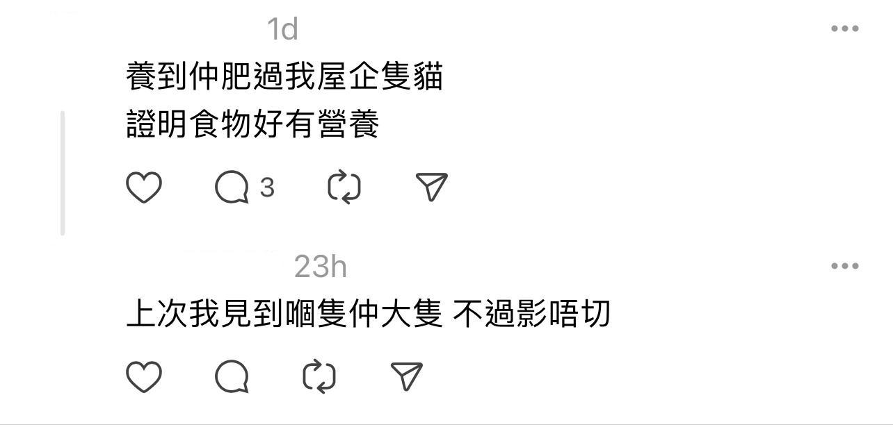 圖片來源:Threads