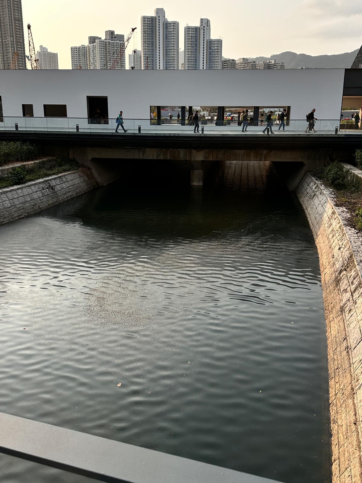 林博指,有街坊路經啟德河時,聞臭味後頭暈頭痛。(九龍城區議員林博提供)