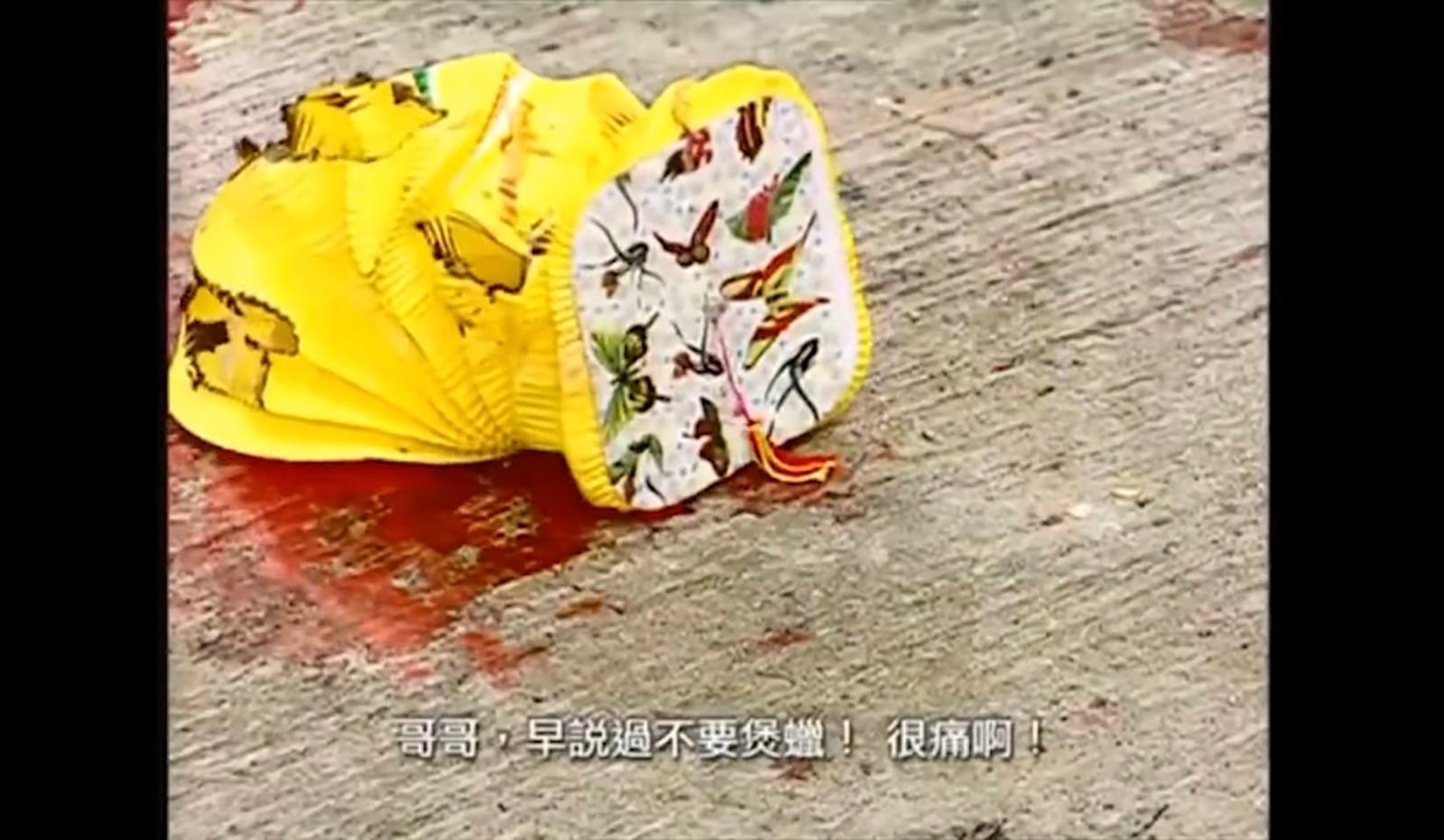 圖片來源:政府宣傳片